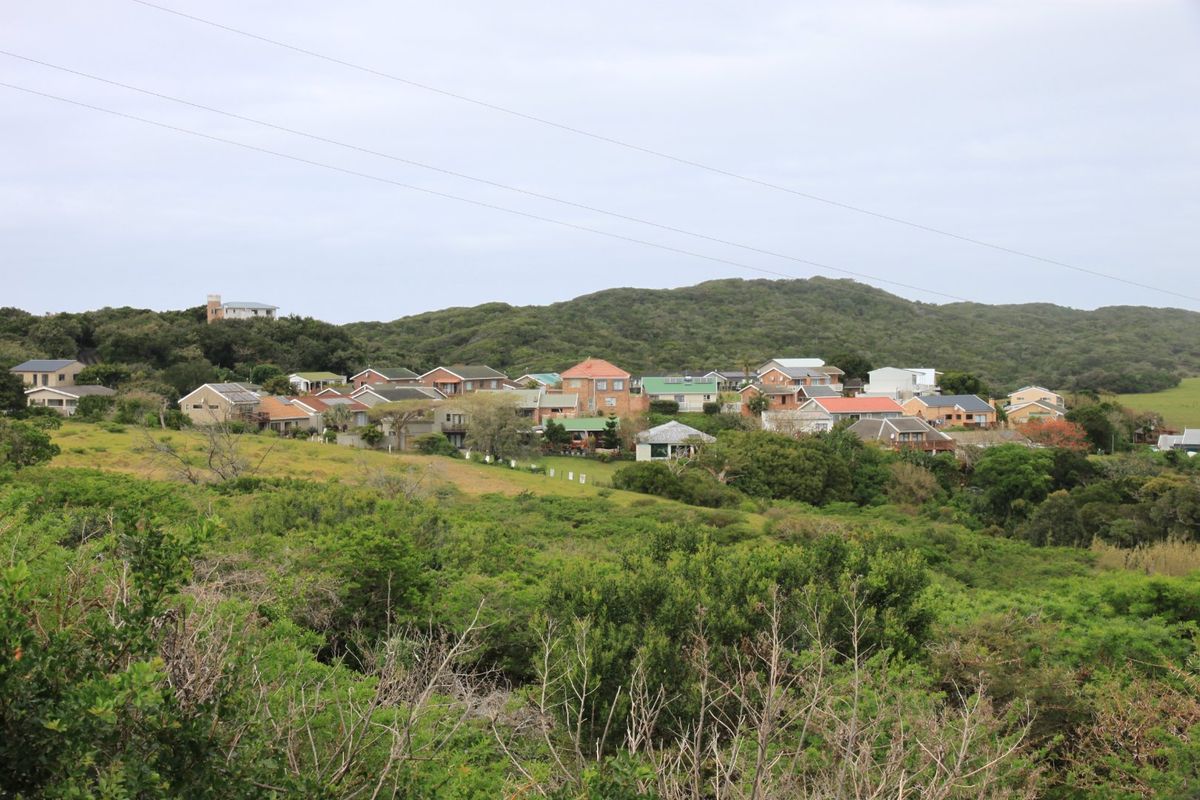 A scenic elevated view overlooking a residential neighborhood nestled within a lush, green coastal landscape.