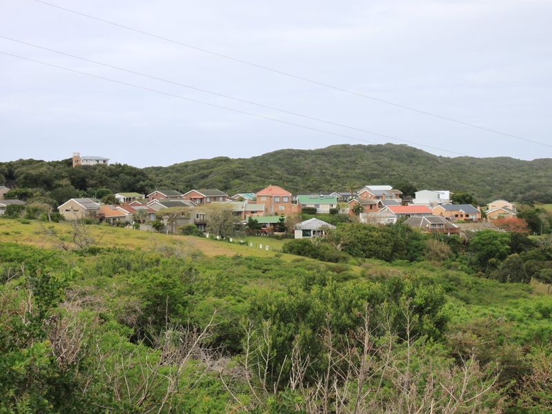 A scenic elevated view overlooking a residential neighborhood nestled within a lush, green coastal landscape.