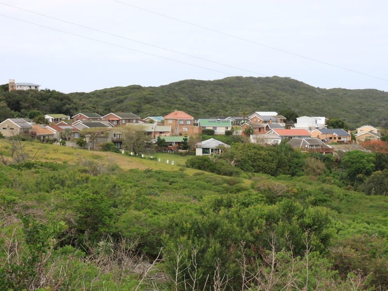 A scenic elevated view overlooking a residential neighborhood nestled against a lush, green hillside.