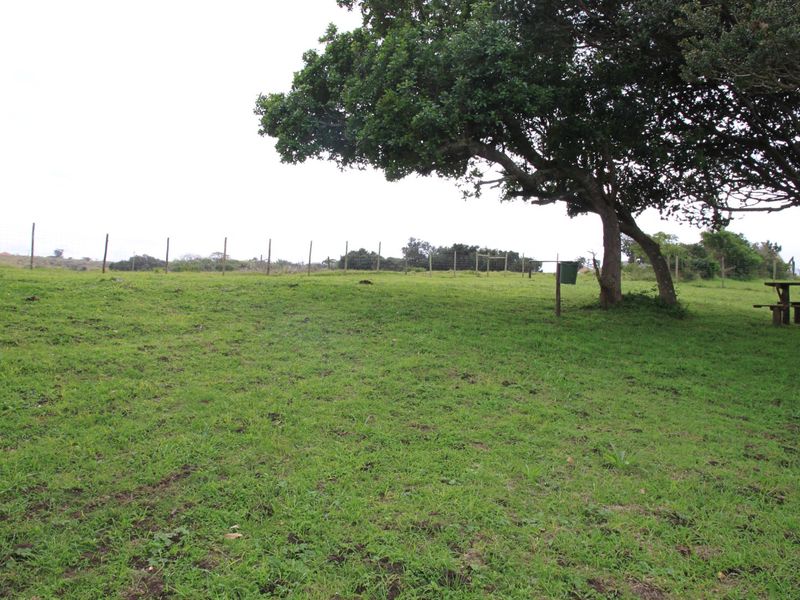 A spacious, grassy vacant residential plot featuring mature trees and perimeter wire fencing, offering a clear and open landscape.