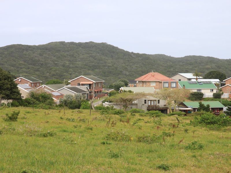 A view of a residential neighborhood with various houses situated in a grassy landscape setting.