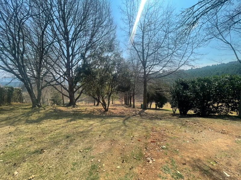 A view of a spacious, tree-lined garden area with established trees and natural lawn, offering a peaceful outdoor setting.