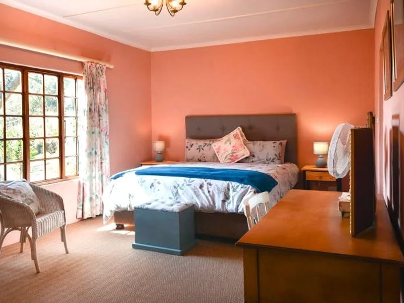 A well-lit bedroom featuring carpeted flooring, a large multi-pane timber window, and neutral wall finishes.