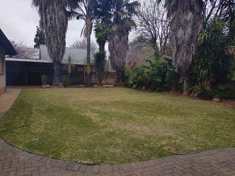 A spacious backyard featuring a well-maintained lawn, mature palm trees, and a paved walkway leading to a covered outdoor area.