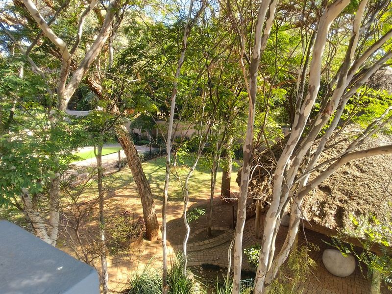 A view of a lush, tree-filled garden featuring a paved walkway and a portion of a thatched roof structure.