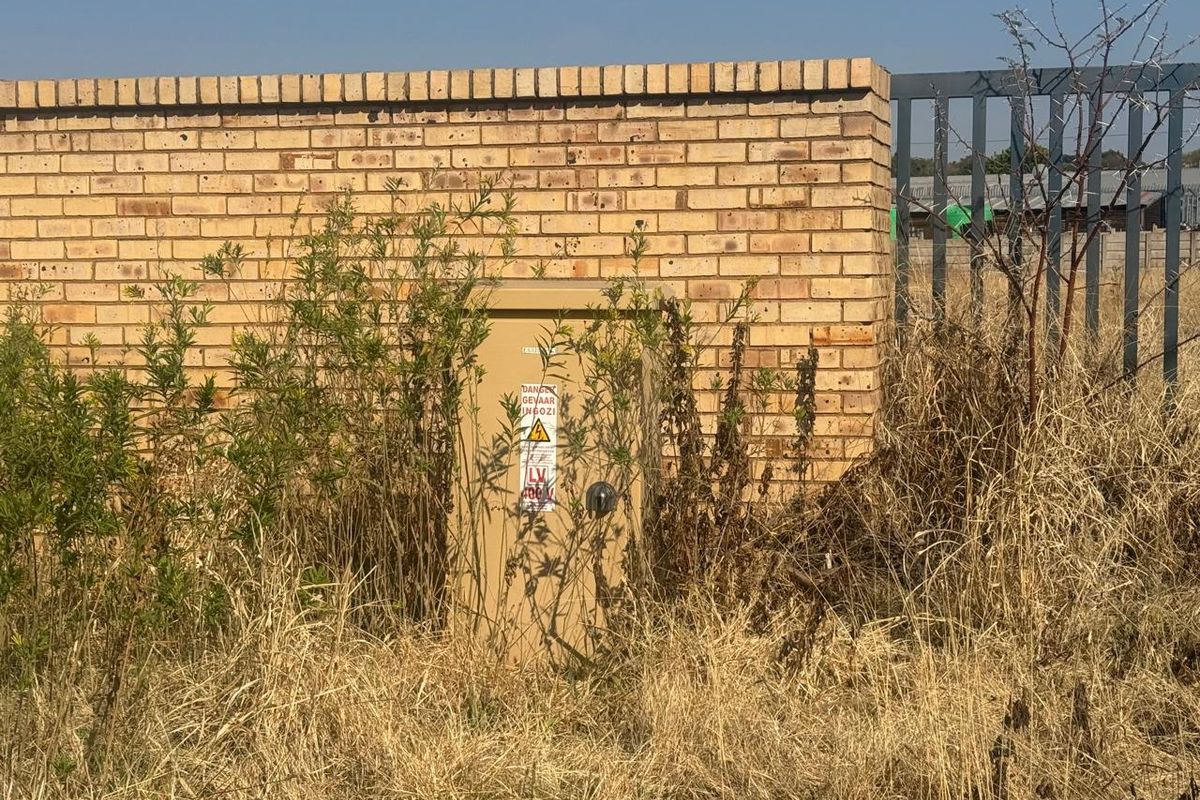 A view of a brick boundary wall featuring an electrical distribution box, partially obscured by overgrown dry vegetation on the vacant residential plot.