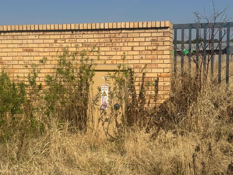 A view of a brick boundary wall featuring an electrical distribution box, partially obscured by overgrown dry vegetation on the vacant residential plot.