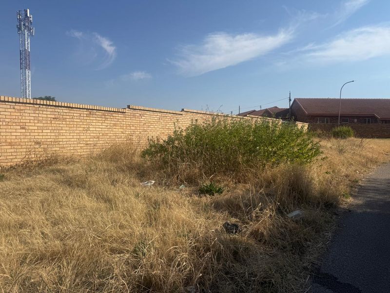 Vacant residential land featuring a brick boundary wall and direct access to a paved road, currently covered in overgrown dry vegetation.