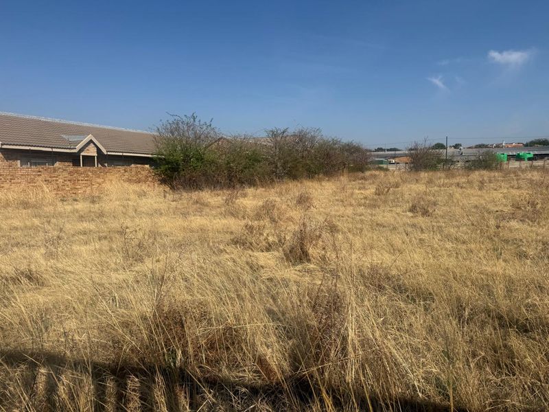 A vacant residential plot featuring dry, overgrown grass and a brick boundary wall, offering a blank canvas for future development.