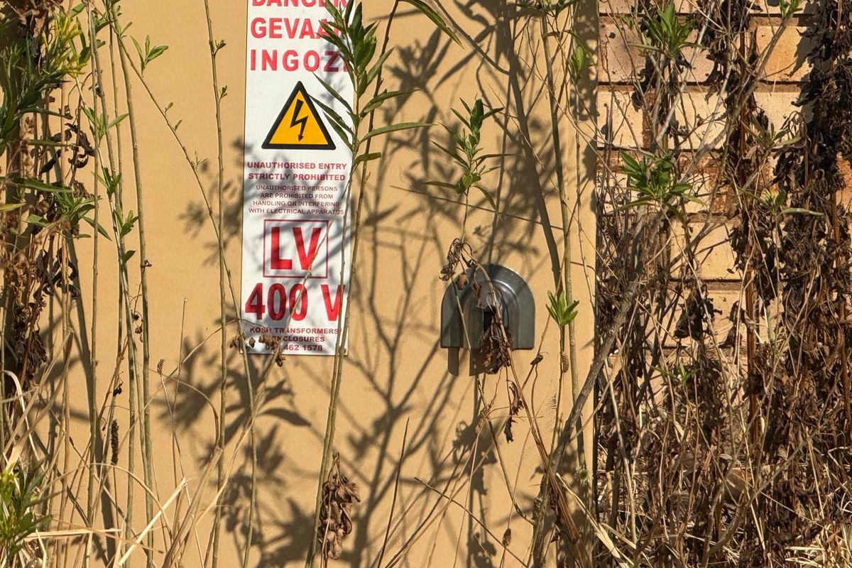 An outdoor electrical transformer enclosure unit situated against a brick wall, partially obscured by overgrown dry vegetation.
