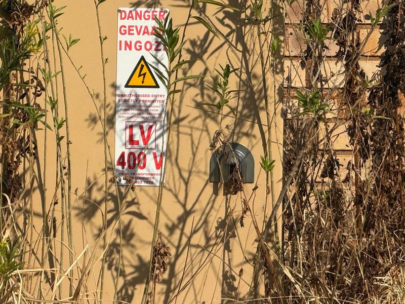 An outdoor electrical transformer enclosure unit situated against a brick wall, partially obscured by overgrown dry vegetation.