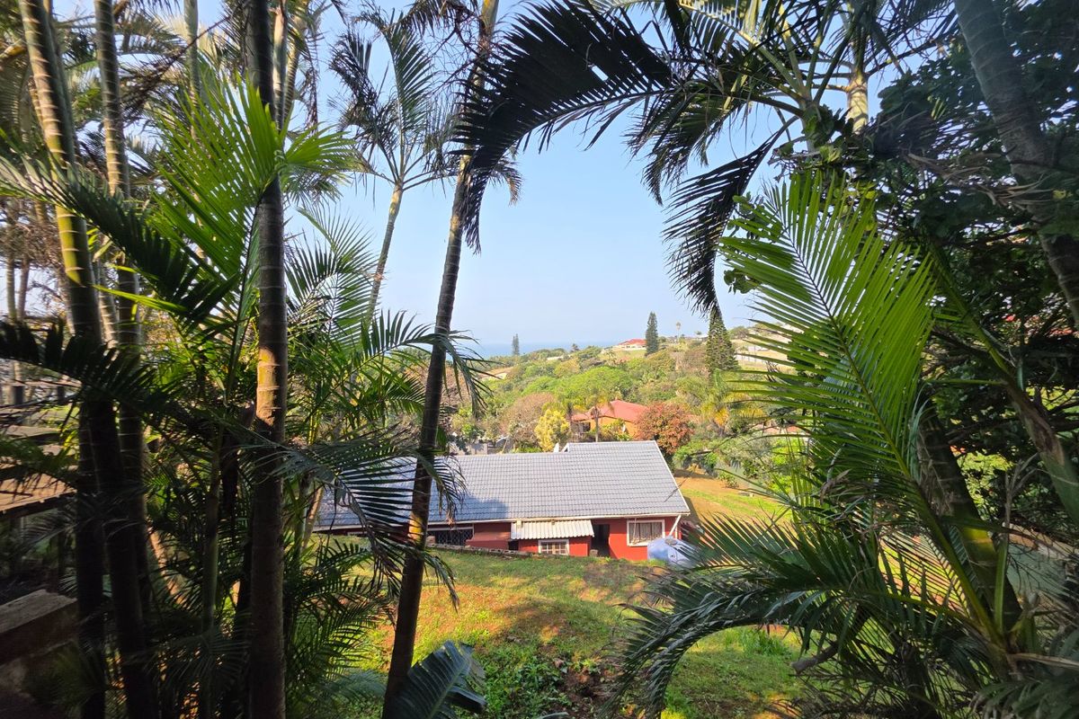 Elevated view overlooking a residential property with a tiled roof, surrounded by lush palm trees and greenery.
