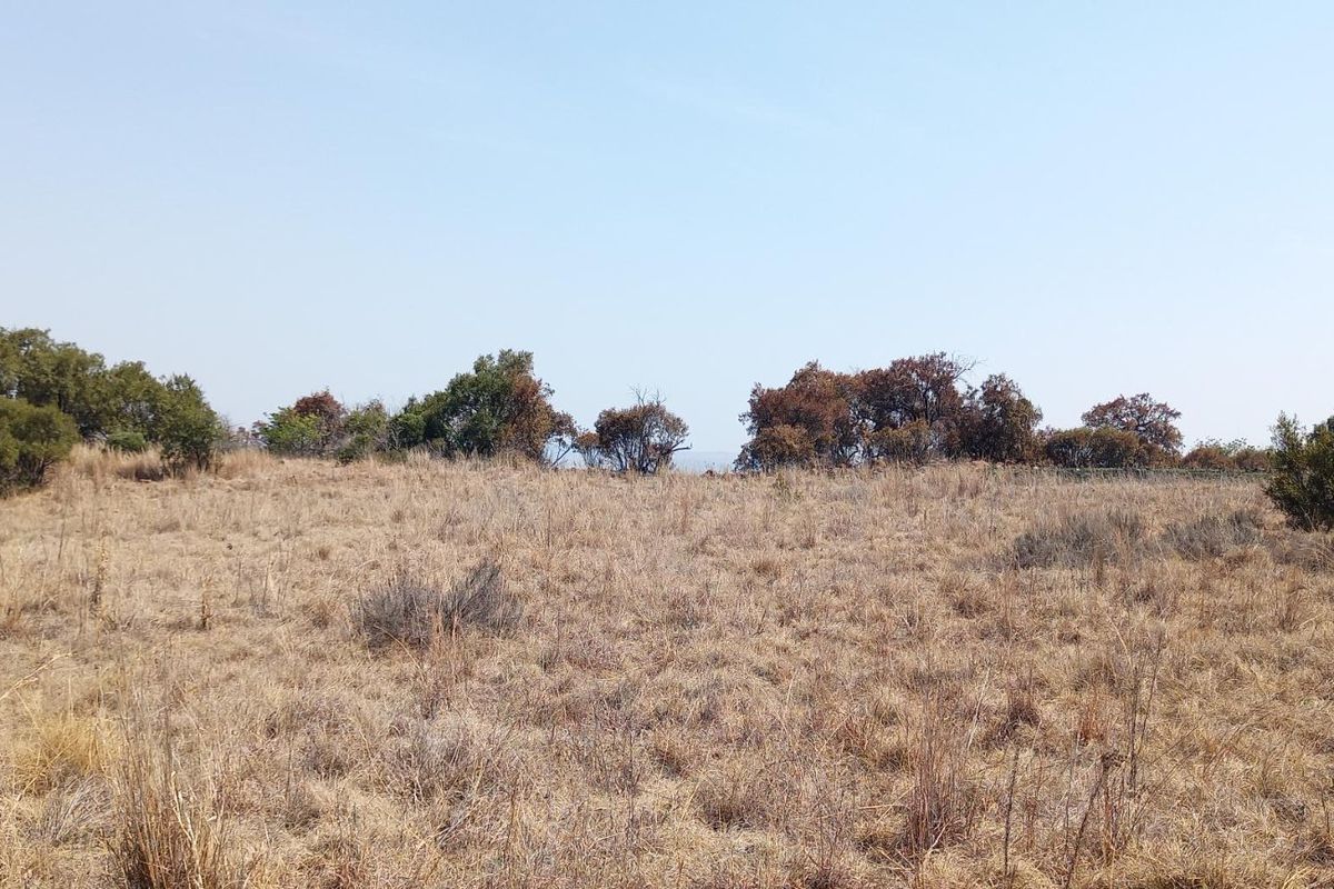 A view of a vacant residential plot featuring dry grassland and native shrubbery under a clear sky.