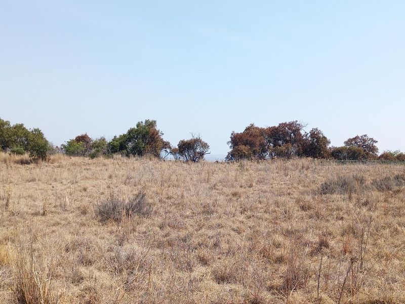 A view of a vacant residential plot featuring dry grassland and native shrubbery under a clear sky.