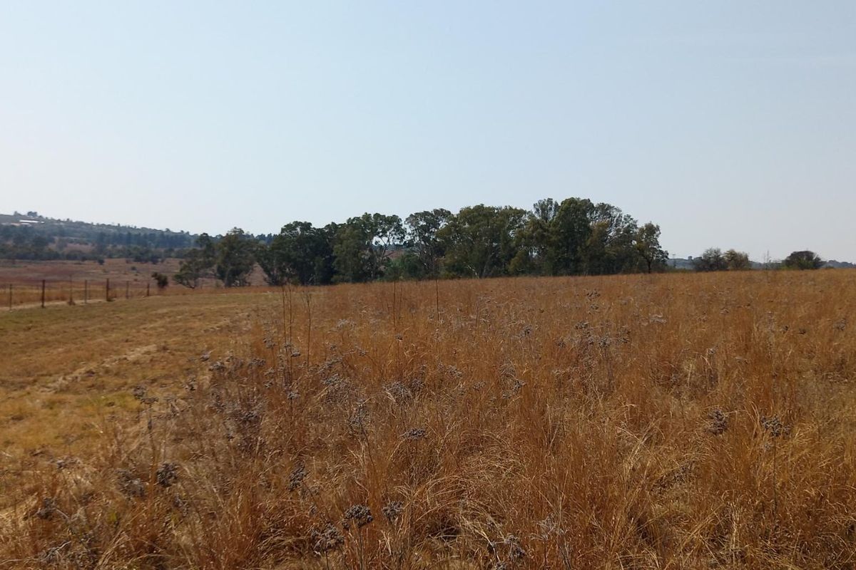 A view of a large, open vacant residential plot featuring dry grass and perimeter wire fencing.
