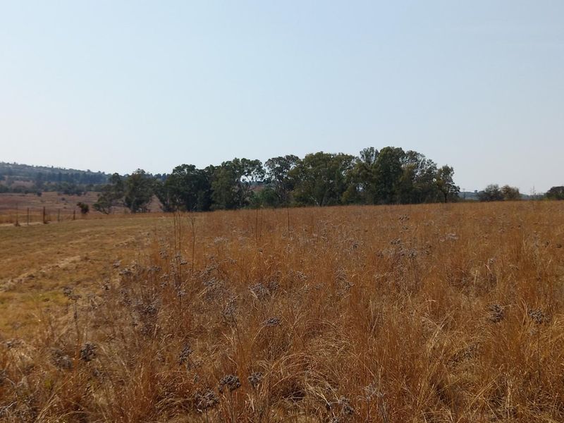 A view of a large, open vacant residential plot featuring dry grass and perimeter wire fencing.