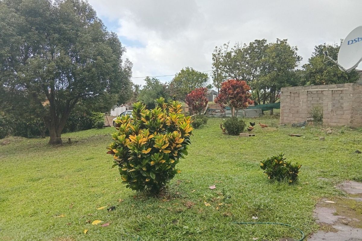 A spacious backyard garden featuring established trees, shrubs, and an unfinished concrete block boundary wall with a mounted satellite dish.