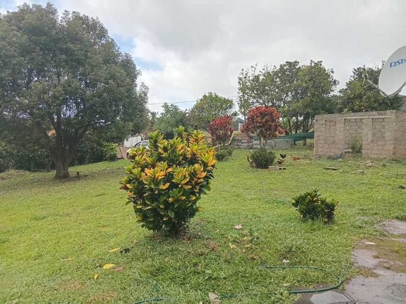 A spacious backyard garden featuring established trees, shrubs, and an unfinished concrete block boundary wall with a mounted satellite dish.