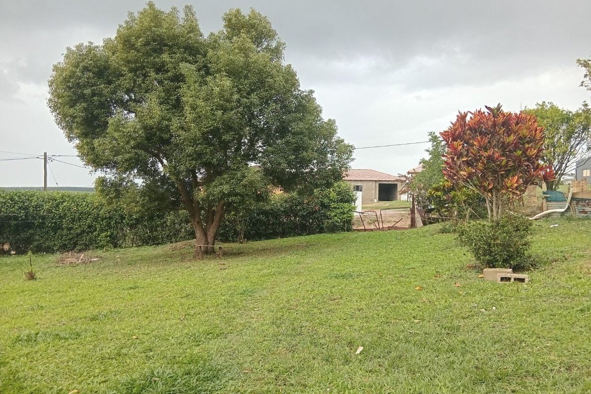 A spacious, grassed garden area featuring mature trees and established hedging, providing a natural outdoor setting.