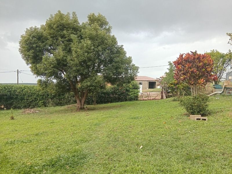 A spacious, grassed garden area featuring mature trees and established hedging, providing a natural outdoor setting.