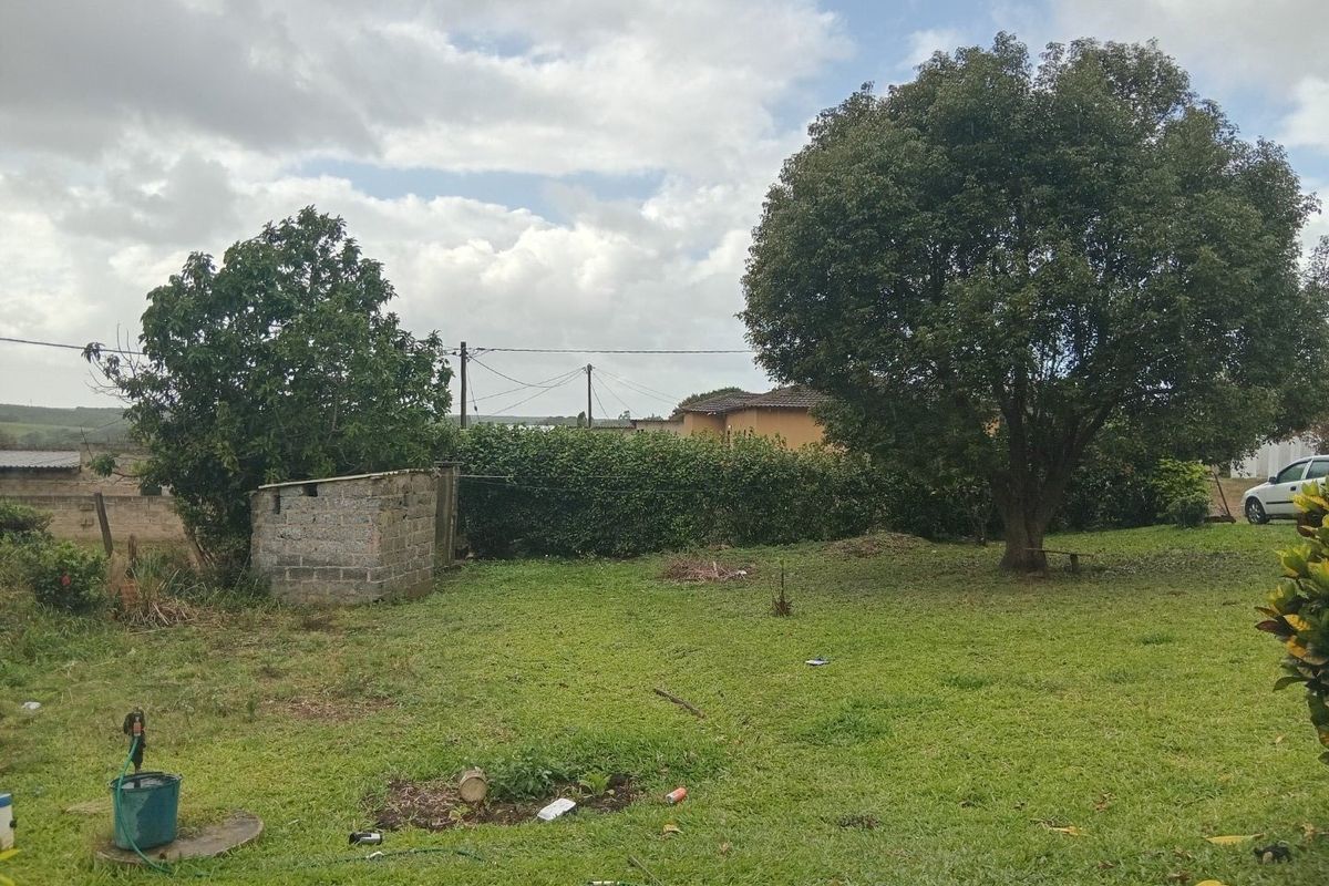 A spacious backyard garden featuring mature trees, established hedging, and a small masonry outbuilding, offering potential for landscaping and outdoor development.