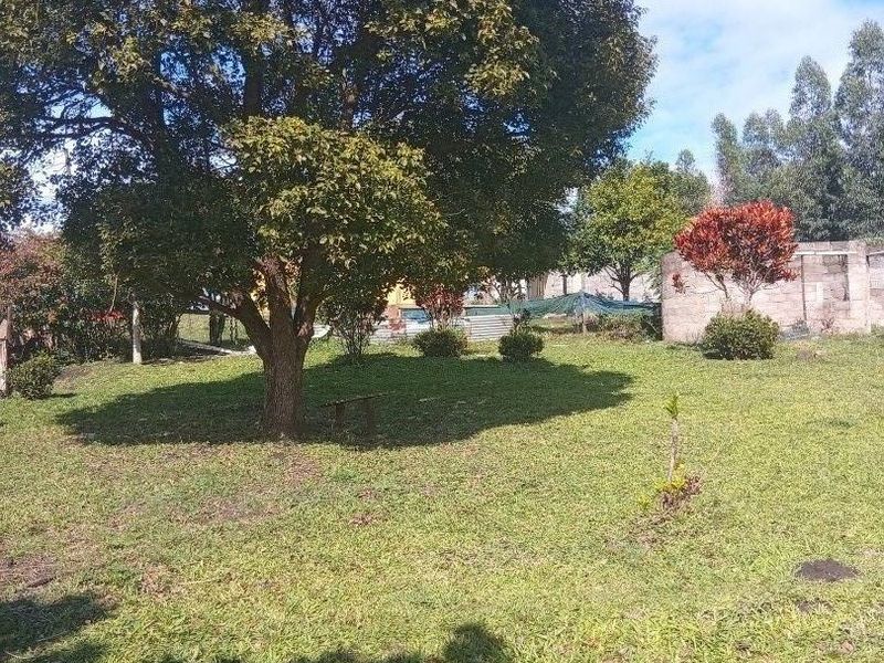 A spacious, grassy backyard area featuring mature trees and a masonry boundary wall, offering potential for landscaping or outdoor development.