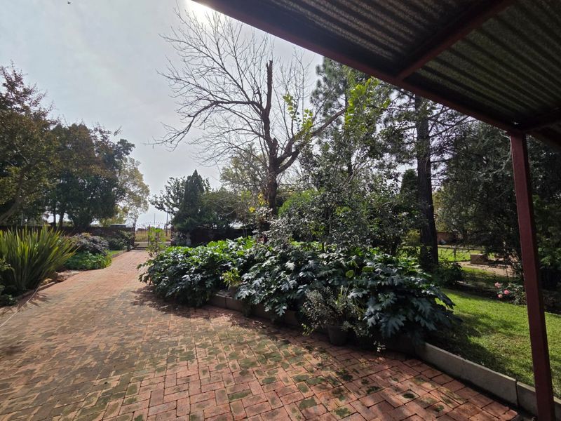 A covered outdoor patio area featuring brick paving and a corrugated metal roof, overlooking a mature garden with established trees and shrubs.