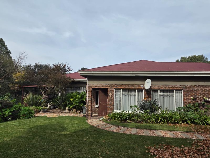 Rear view of a brick house featuring a corrugated metal roof, a paved garden path, and established landscaping.