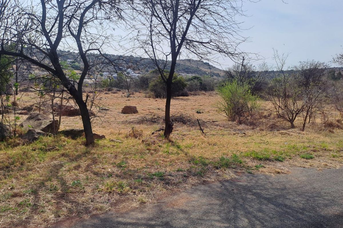A view of an undeveloped plot of land featuring natural vegetation and rocky terrain, adjacent to an asphalt road.