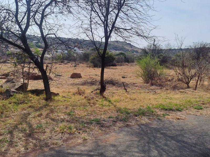A view of an undeveloped plot of land featuring natural vegetation and rocky terrain, adjacent to an asphalt road.