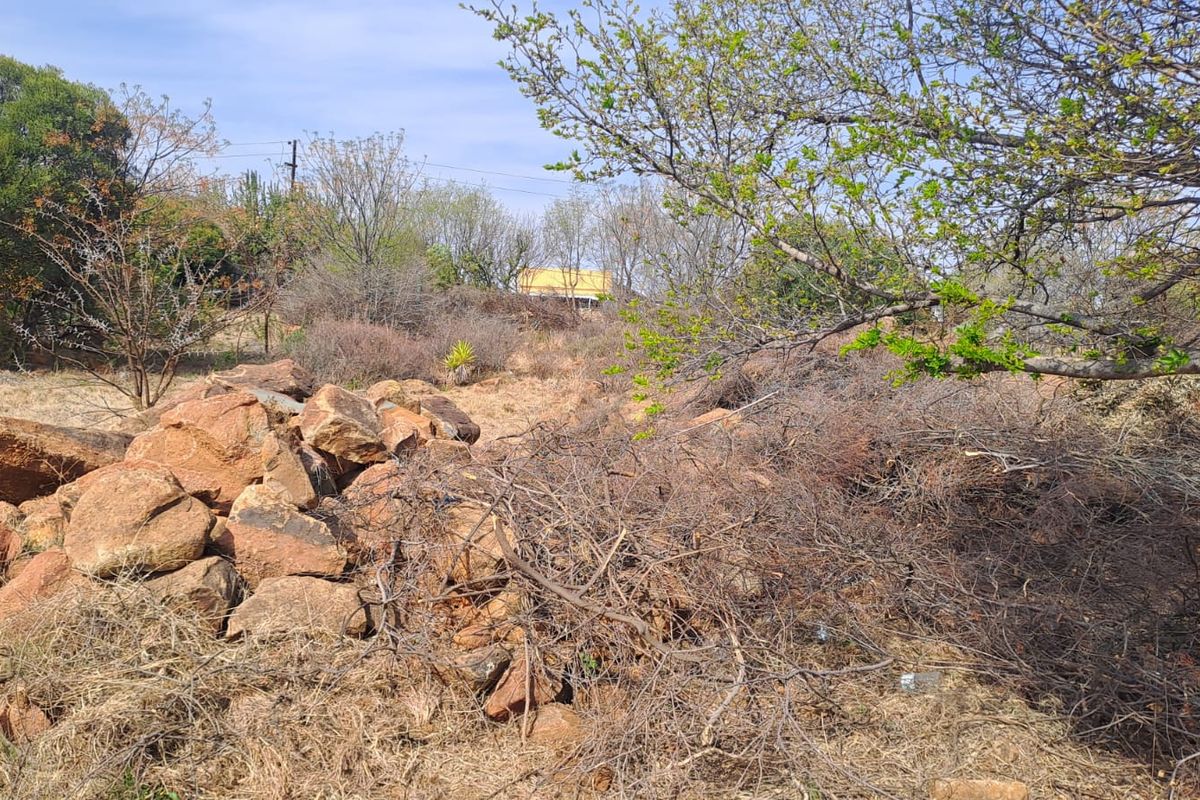 An undeveloped garden area featuring natural rock formations and overgrown vegetation, requiring significant landscaping and clearing to improve the property's outdoor space.