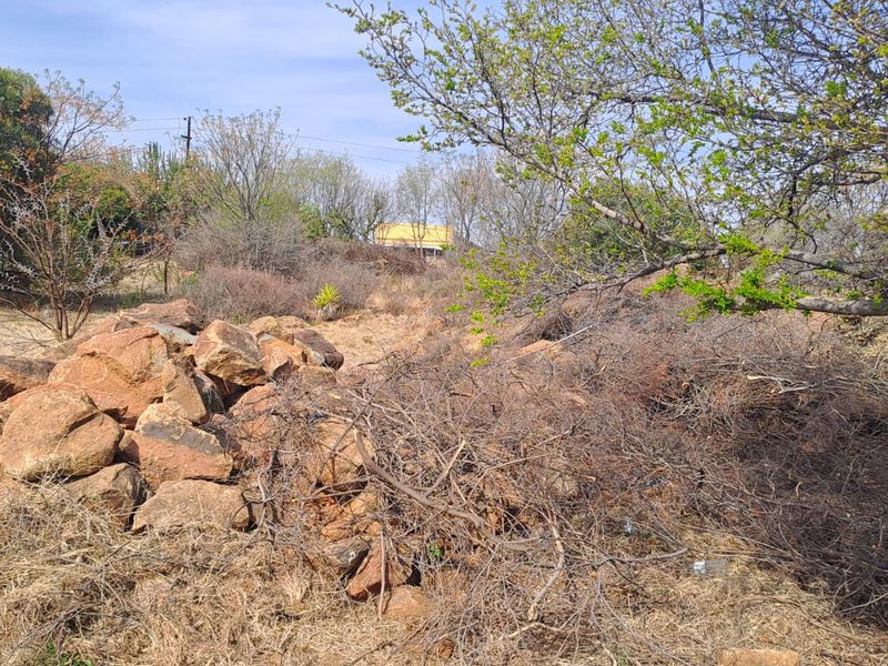 An undeveloped garden area featuring natural rock formations and overgrown vegetation, requiring significant landscaping and clearing to improve the property's outdoor space.