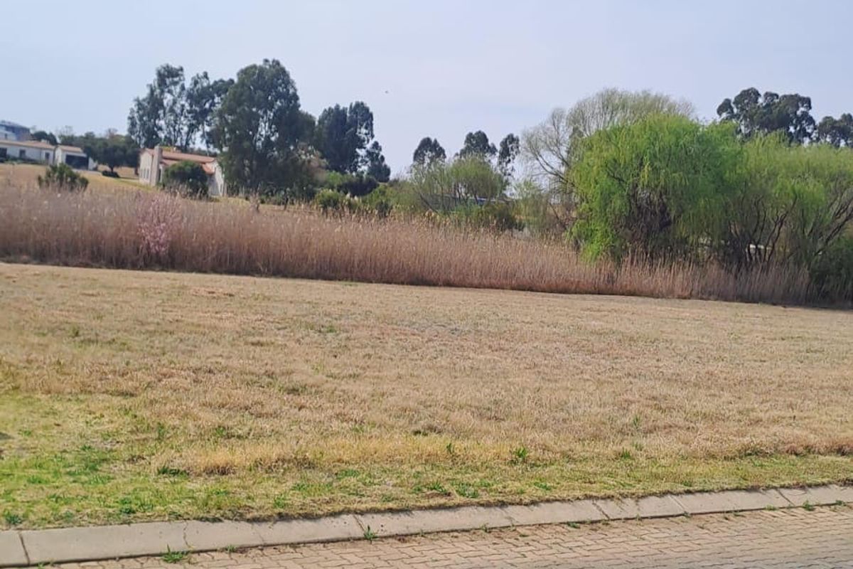 A view of an open, undeveloped plot of land adjacent to a paved residential street with established trees and vegetation in the background.
