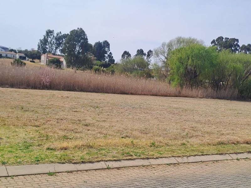 A view of an open, undeveloped plot of land adjacent to a paved residential street with established trees and vegetation in the background.