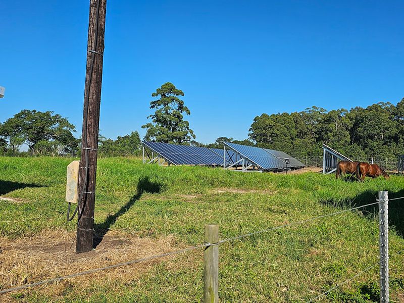 Lucrative,PRISTINE Macamia Farm - Photo 4