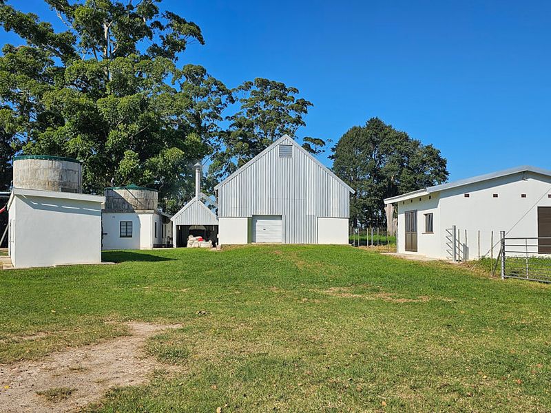 Lucrative,PRISTINE Macamia Farm - Photo 7