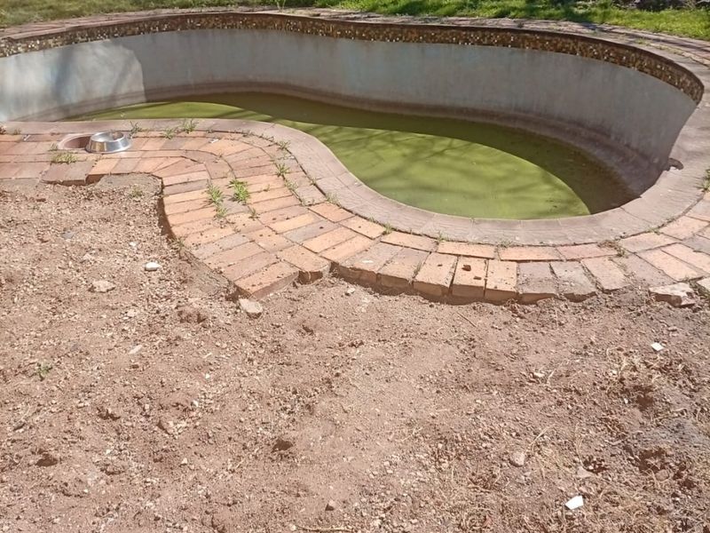 An outdoor swimming pool area requiring significant maintenance and restoration, featuring brick coping and a surrounding garden space.
