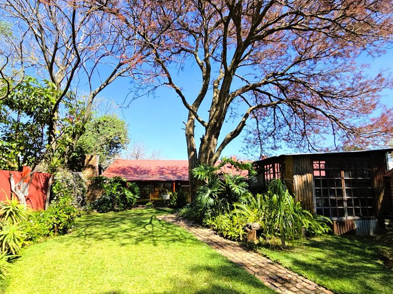 A spacious rear garden featuring a brick pathway, mature trees, and a rustic outbuilding with corrugated iron siding.