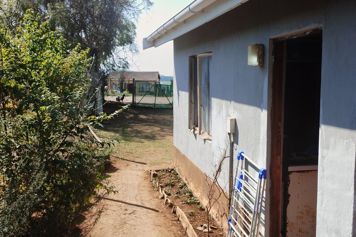 A view of the rear exterior wall of the house, showing the building facade, guttering, and adjacent garden path.