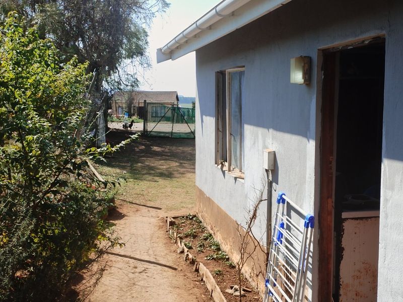 A view of the rear exterior wall of the house, showing the building facade, guttering, and adjacent garden path.
