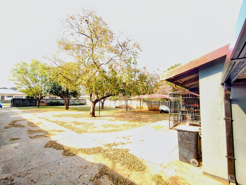 Spacious rear yard featuring concrete paving, mature trees, and a metal carport structure, offering potential for landscaping and outdoor improvement.