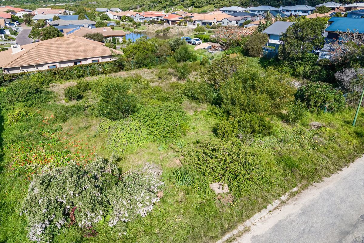 An aerial view of a vacant residential plot covered in natural vegetation, situated within an established suburban neighborhood.