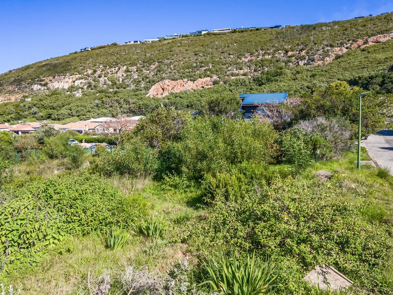 A view of a vacant residential plot featuring sloped terrain and native vegetation, situated along a paved road in a hillside setting.