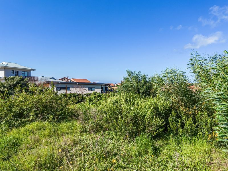 A view of a residential plot featuring overgrown vegetation and shrubs with surrounding neighborhood houses in the background.