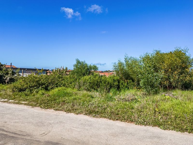 A view of a vacant residential plot featuring natural vegetation and direct access from an asphalt road.