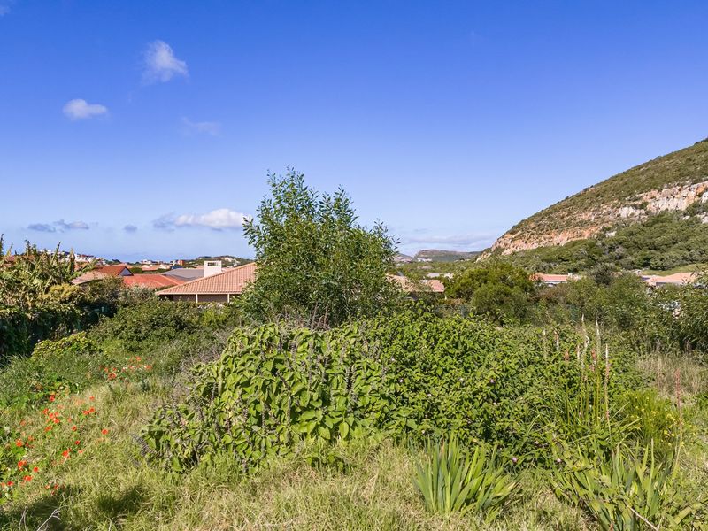 A scenic view of the surrounding residential landscape, featuring natural vegetation and distant mountain slopes under a clear blue sky.