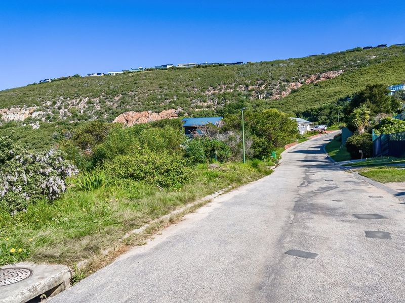 A view of the paved street leading through the residential area, featuring natural hillside surroundings and established vegetation.