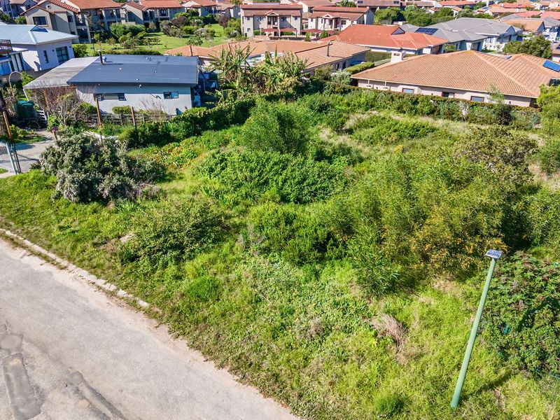 Aerial view of a vacant residential plot featuring established vegetation and perimeter fencing in a developed suburban neighborhood.