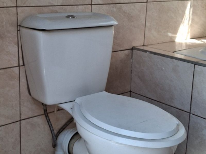 A functional bathroom featuring a standard toilet with ceramic wall and floor tiling and a decorative border.