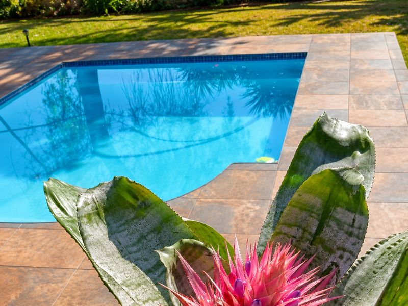 A well-maintained swimming pool area featuring modern tiled surrounds and a landscaped garden backdrop.